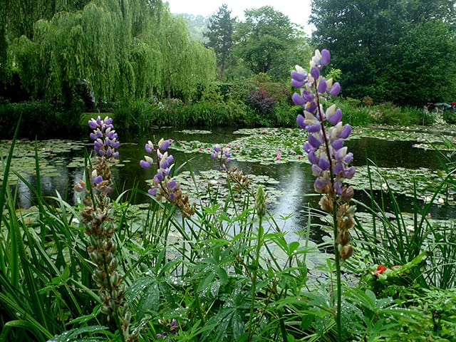 Giverny to Paris Day Trip