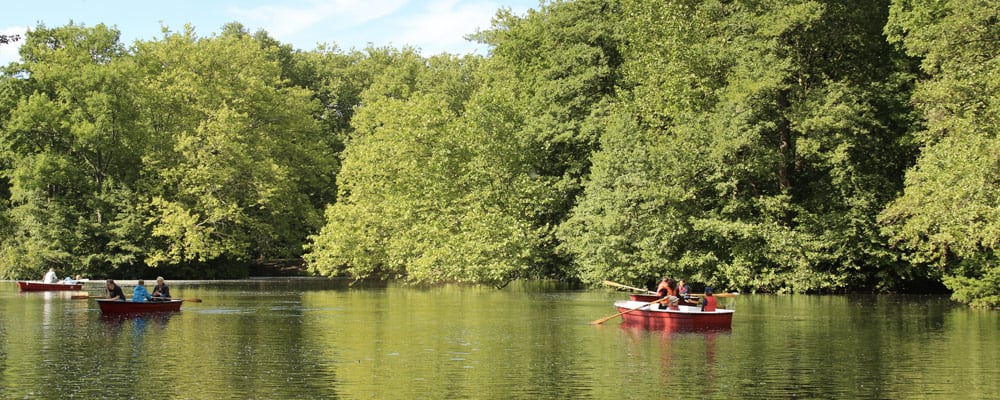 tiergarten