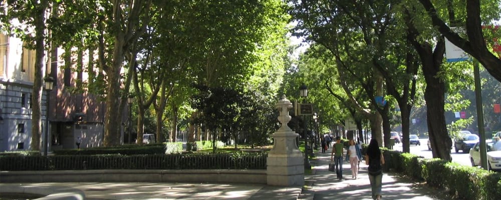 paseo-madrid