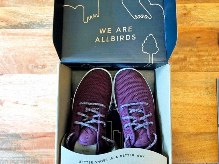 Allbirds Tree Runners Review (2023) | Testing The "Breezy" Summer Shoes