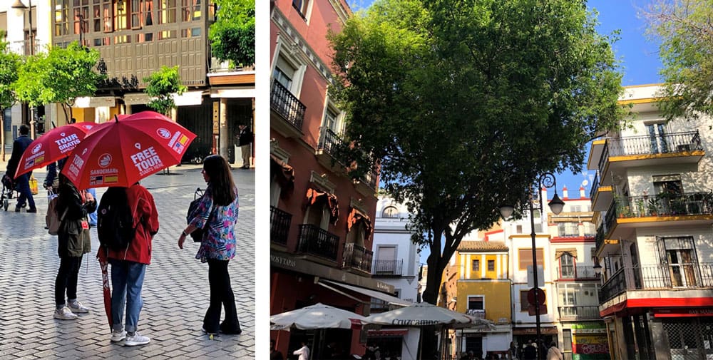 Free Walking Tour of Seville