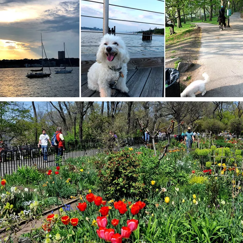 Riverside Park | Things To Do In New York City