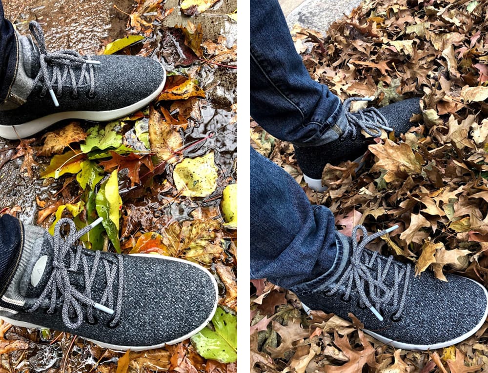 allbirds in rain