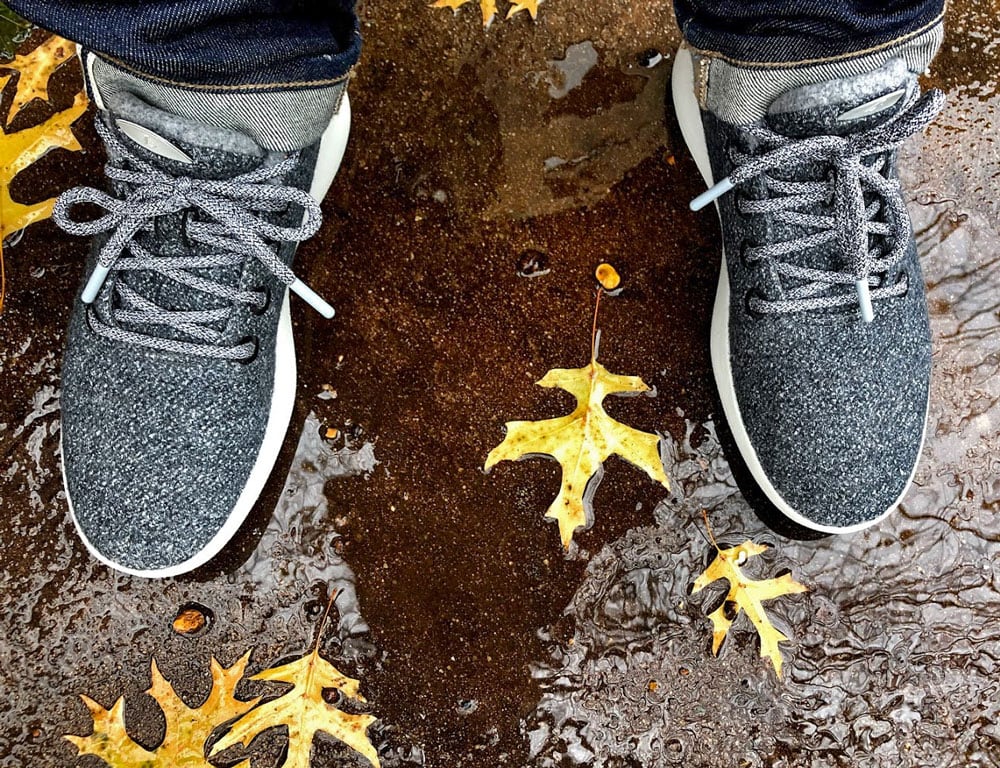 allbirds in rain