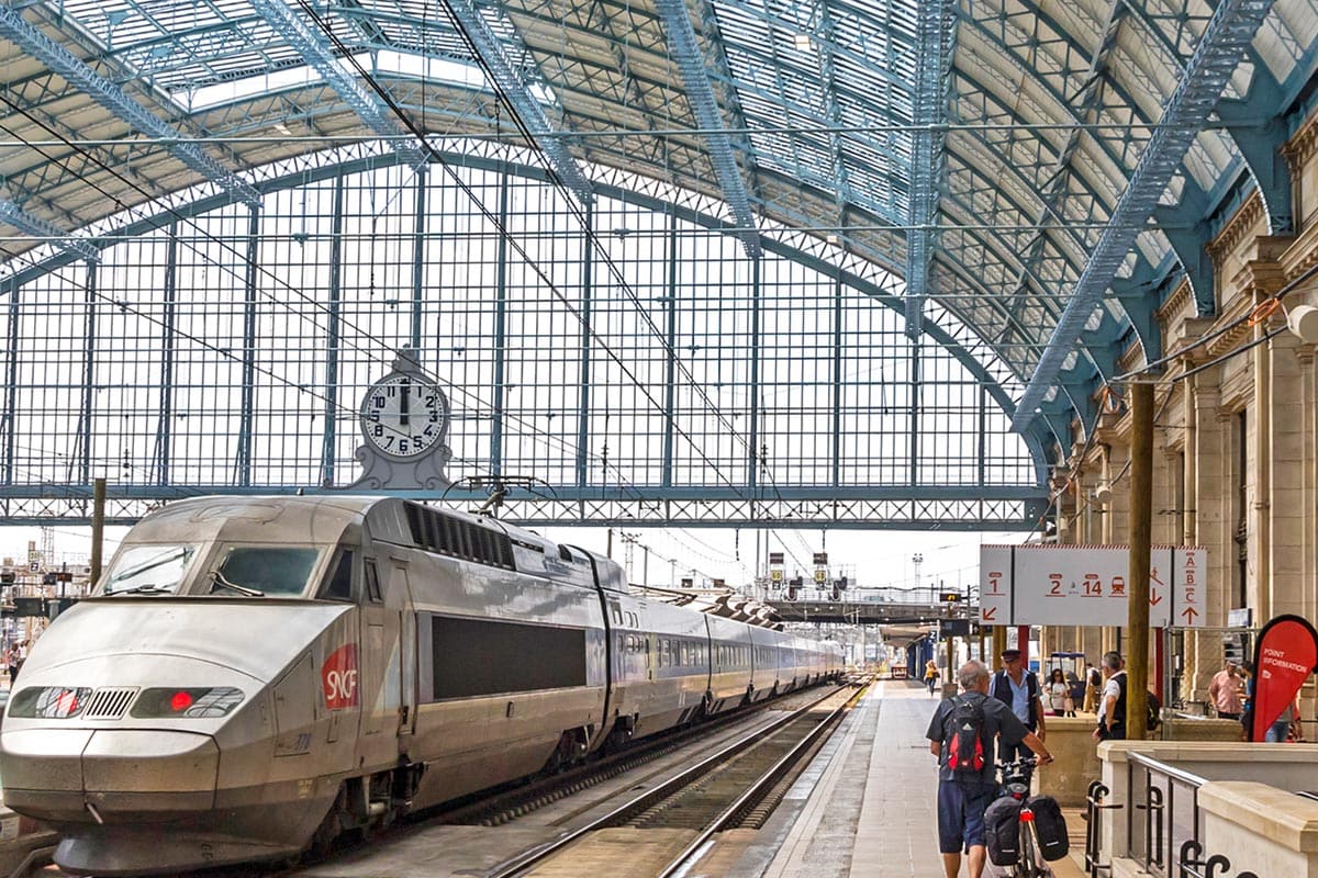 can you take dogs on tgv trains