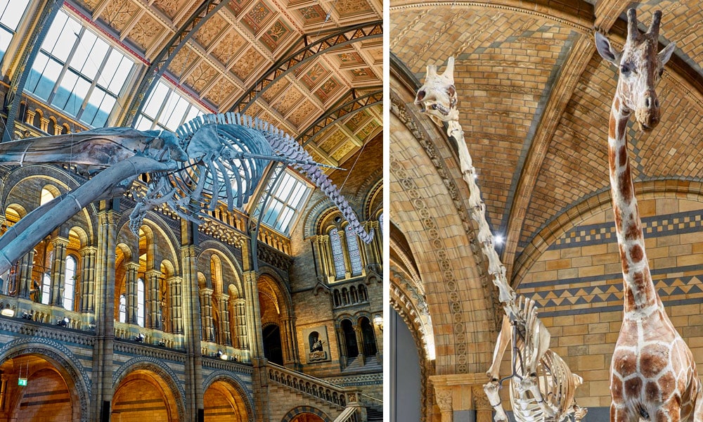 This image has an empty alt attribute; its file name is london-travel-natural-history-museum.jpg