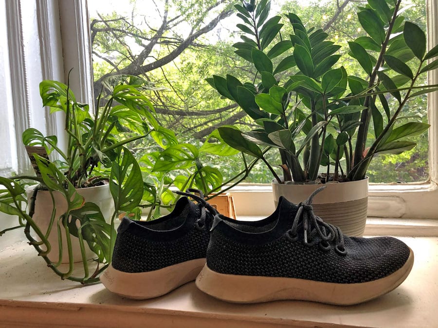 allbirds running shoe review