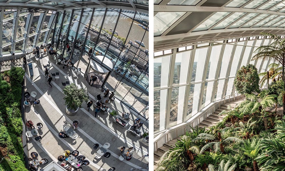 Sky Garden - London Travel