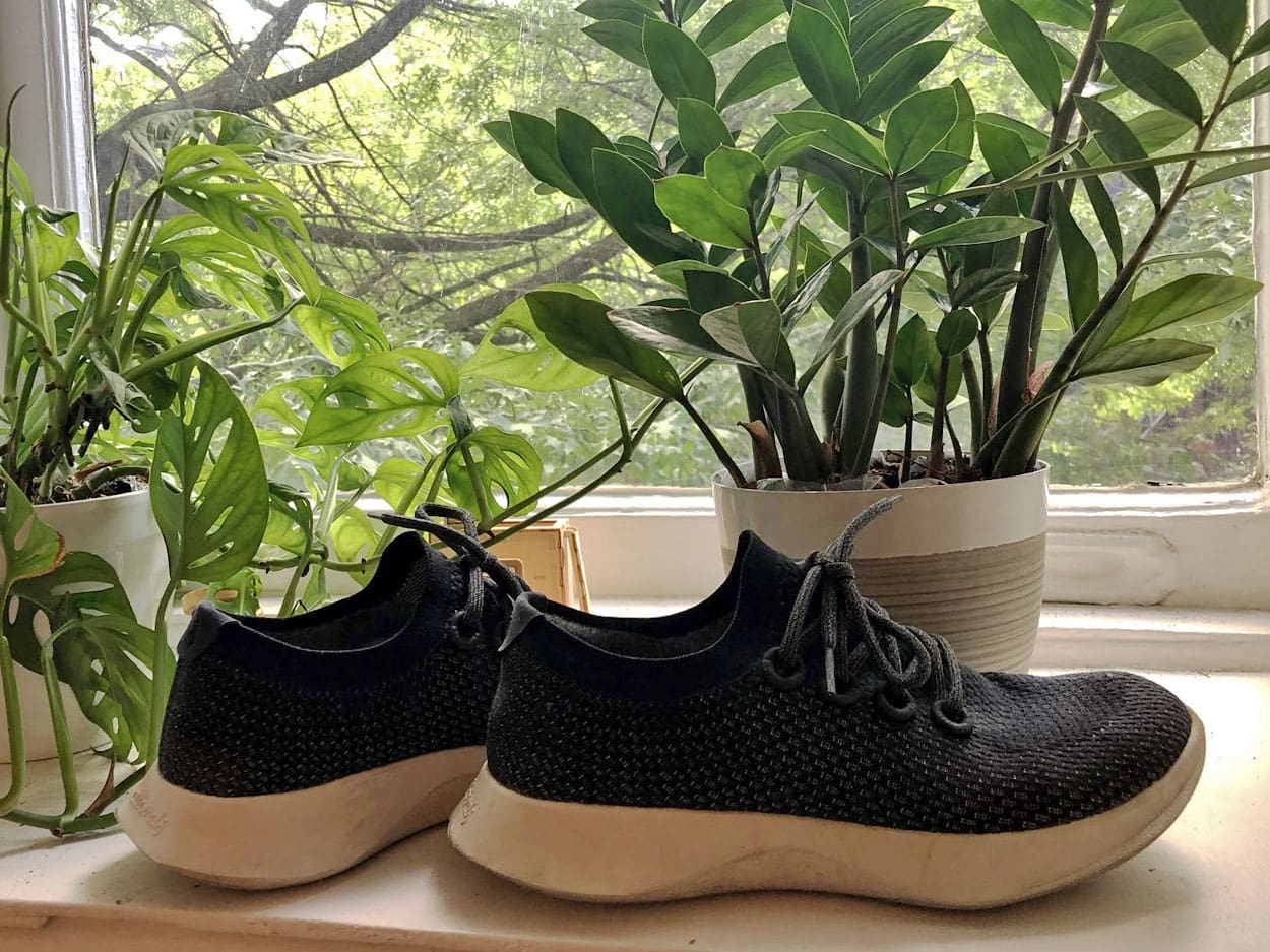 Allbirds hot sale style shoes