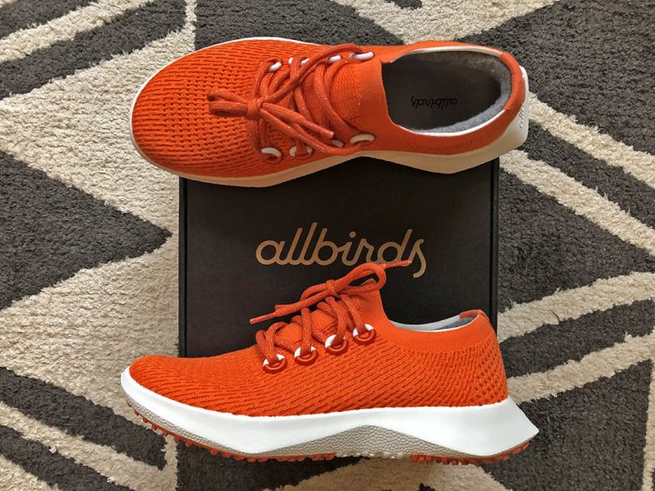allbirds women's tree dasher review