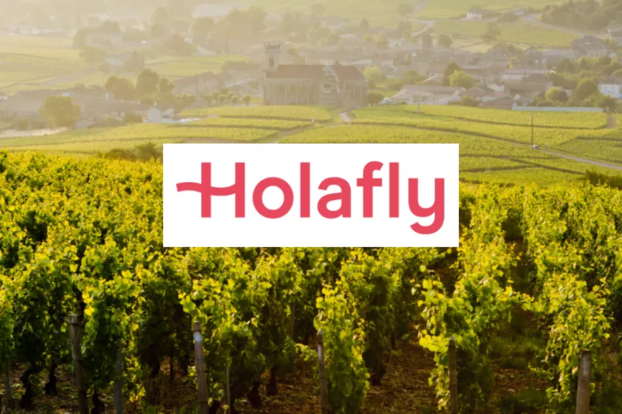 best eSIM France - Holafly